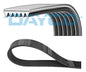BMW B58 Serpentine / Auxiliary Drive Belt – DAYCO 6PK1152