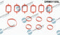 Premium Intake Manifold Gasket Set for BMW M57 & M57N2