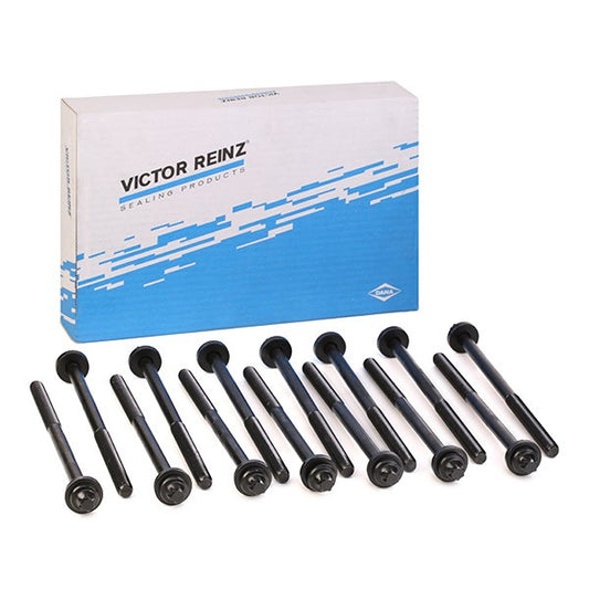 VICTOR REINZ Cylinder Head Bolt Set for BMW M57N2         OE-11127798532        SKU-14-32311-01